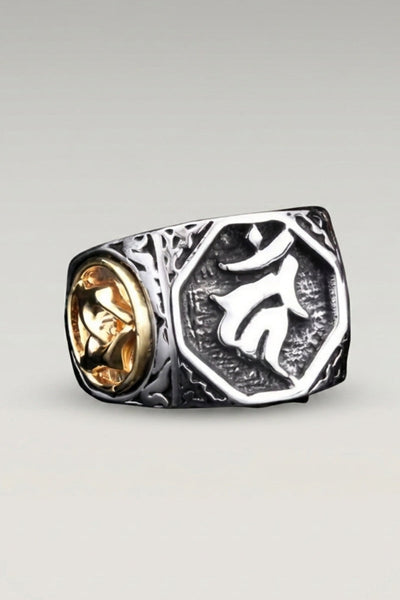 Anillo simbólico 'Hokuto'