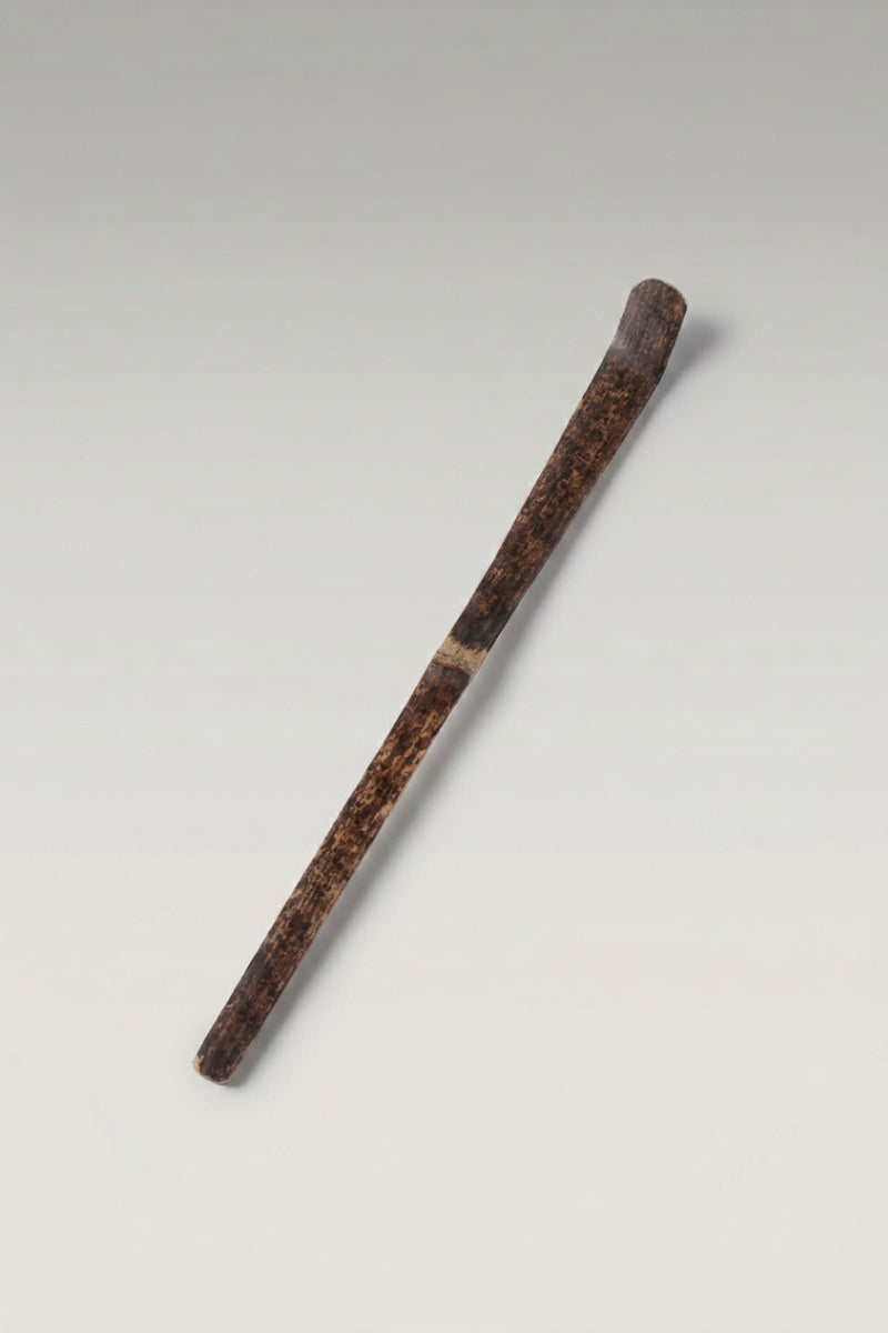 Chashaku de bambú marrón, cucharilla de matcha japonesa